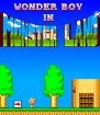 Wonder Boy in Monster Land (Sega Master System (VGM))